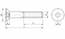 Vijak M8 x 40 DIN 7991 ZN/10 kom