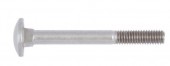 Vijak Torban 8 x 50 DIN 603 A2